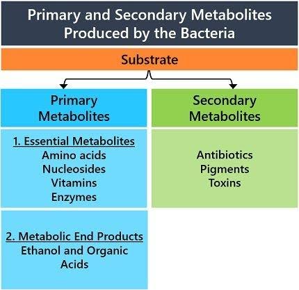Mycotoxins - Primary, Secondary metabolites substrates