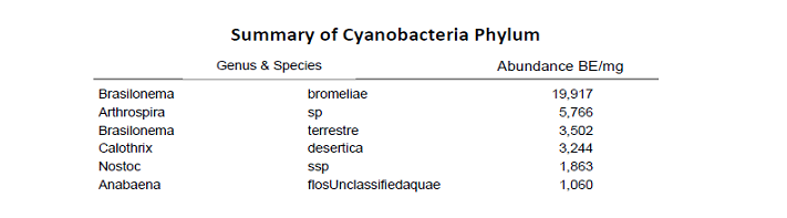 Mycotoxins - summary of Cyanobacteria phylum